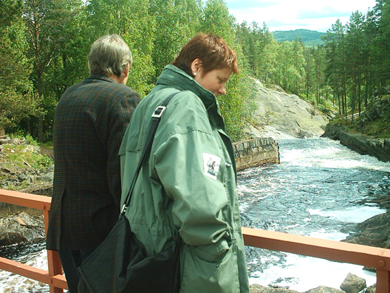 Ved fossen.jpg